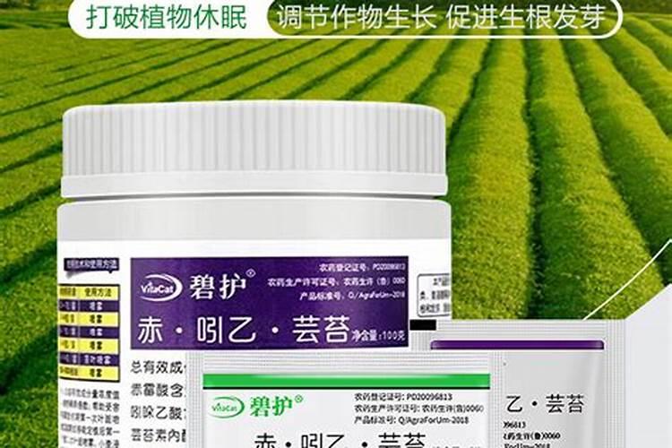 农药与芸苔素混用会降低或消除药效呢？