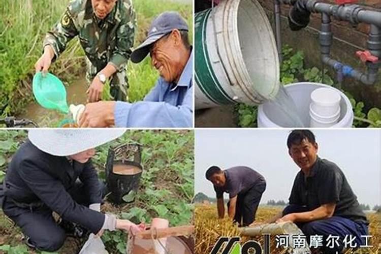 碳铵做水溶肥倍数怎么算的？