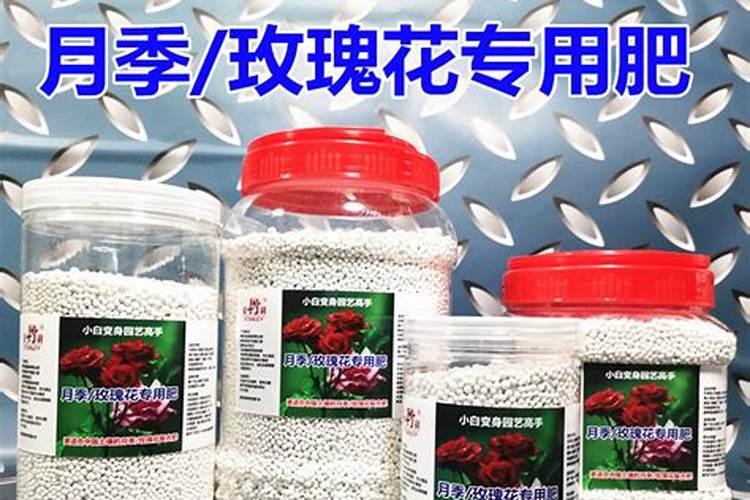 月季水溶肥指哪几种花卉肥料？