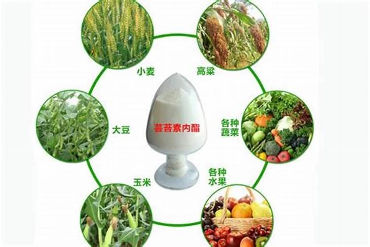 复硝酚钠加尿素加磷酸二氢钾加芸苔素加红糖它的效果对沙糖桔保果好吗...