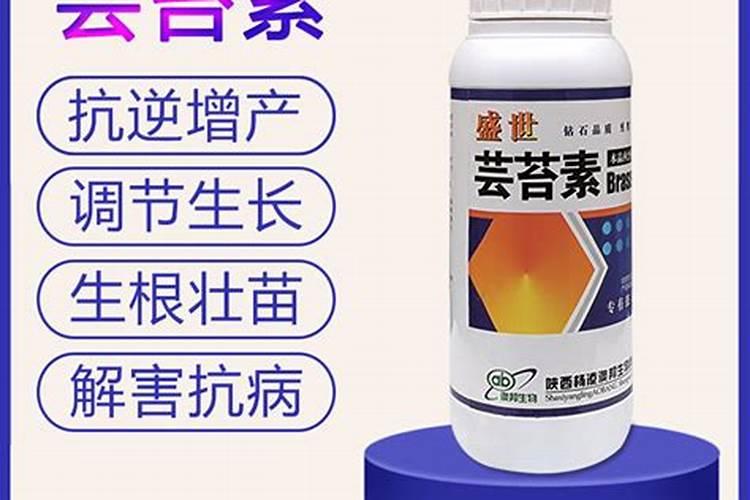 芸苔素在玉米生长期用几次最好呢？