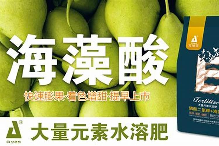 梨树春季施肥用什么肥料