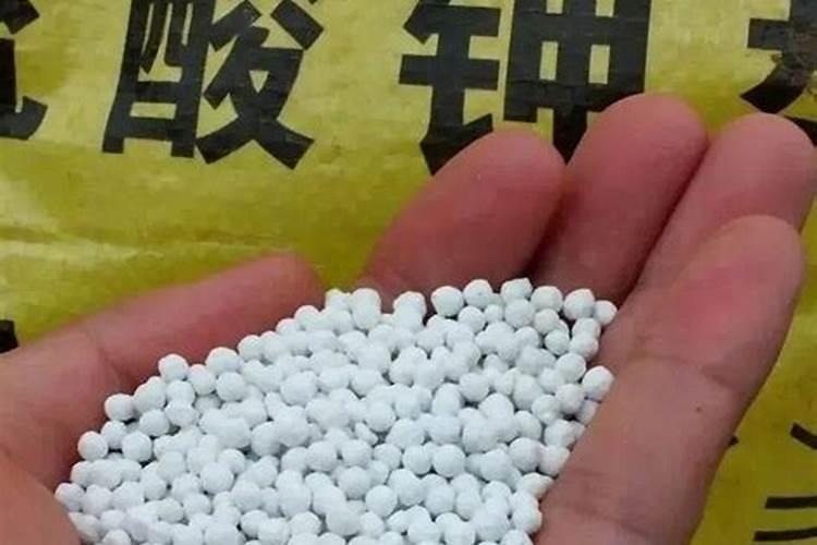 纯硫酸钾和硫酸钾型是一样东西吗？