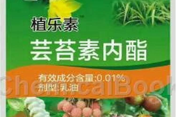 芸苔素内酯的功效及应用效果如何？