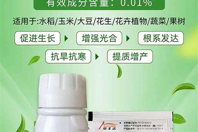 芸苔素内酯作用与功效和使用方法