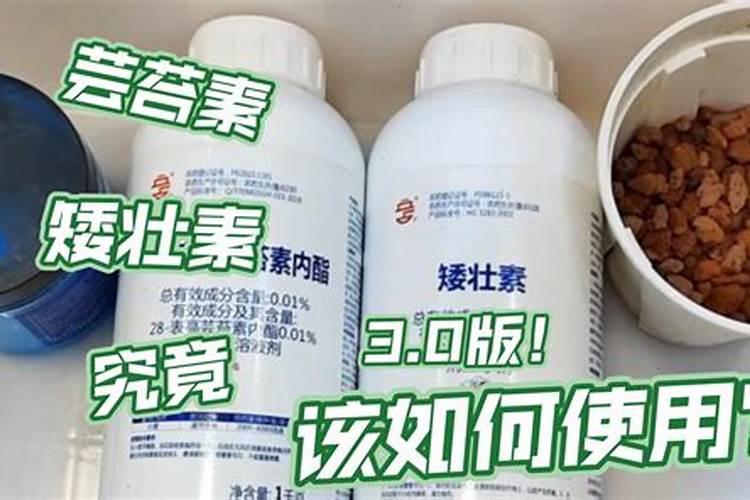 芸苔素浇根有用吗怎么用的？