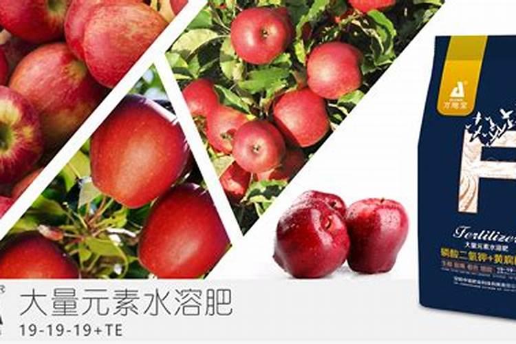 苹果用什么水溶肥好