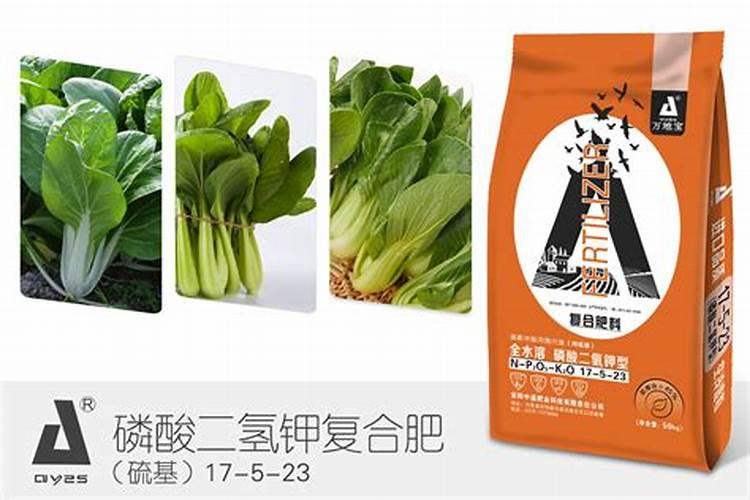 鱼蛋白是否用油菜苗上化肥？