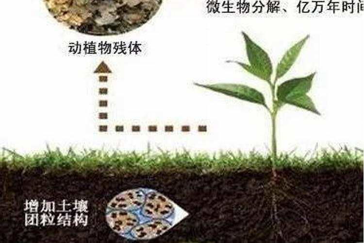 腐殖酸能调ph吗怎么调？