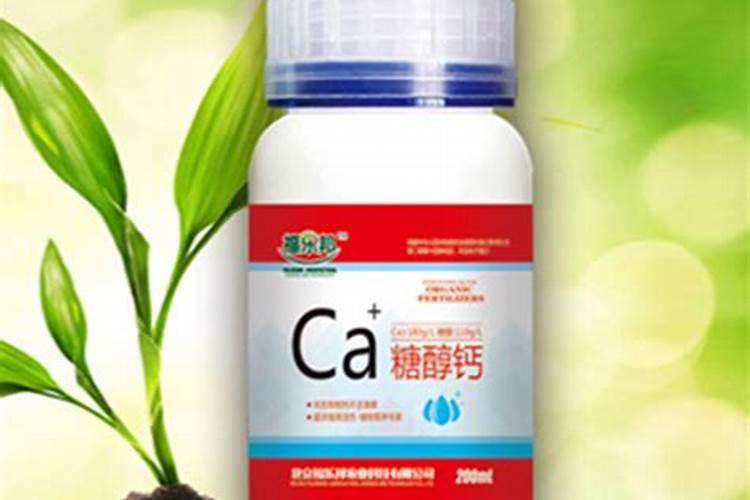 糖醇钙什么时候用的最多？