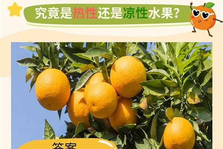 橙子属于热性还是凉性