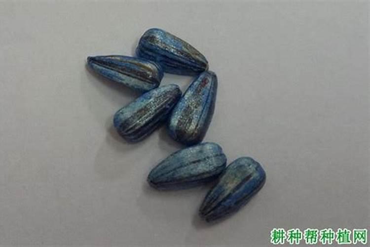 硼肥葵花的正确使用方法是