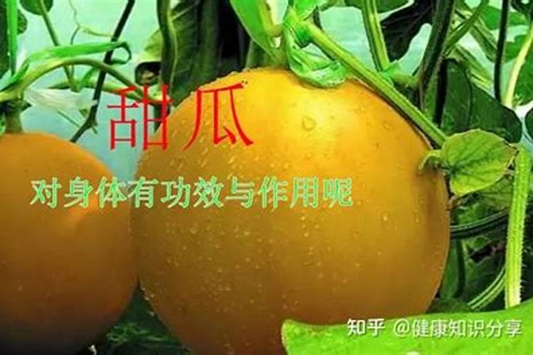 芸苔素对甜瓜有什么作用与功效？
