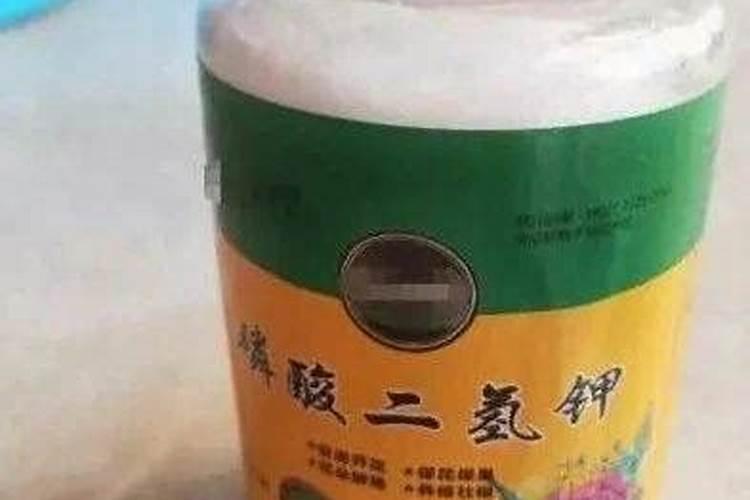 韭菜磷酸二氢钾可以灌根吗？