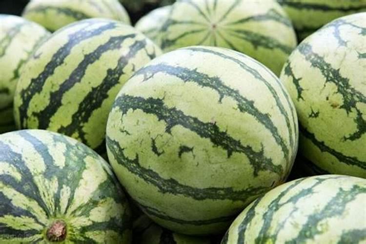 西瓜苗该用什么样的叶面肥好