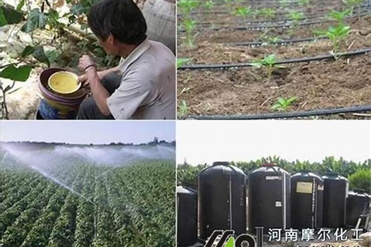 水溶肥二次稀释的方法是什么原理？