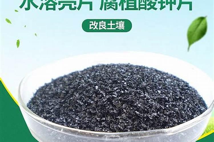 黄腐酸钾和海藻素哪个好用？