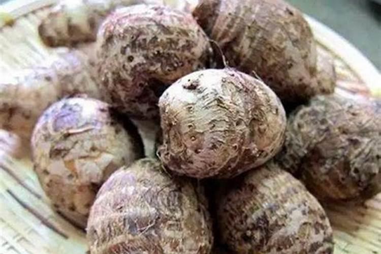 种芋头磷肥有什么作用与功效？