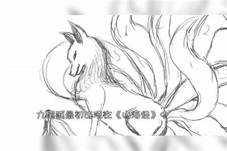 九尾狐需要氮肥吗为什么？