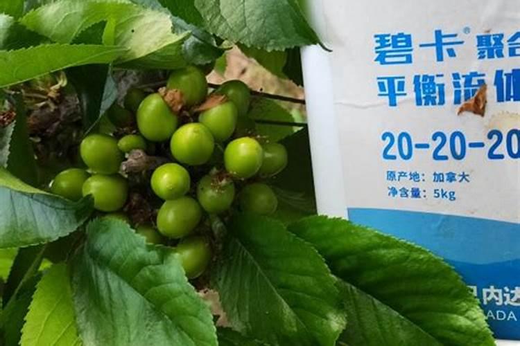 嫁接果树的水溶肥有哪些种类？