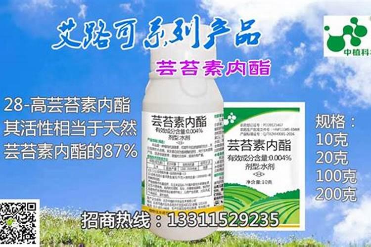 赤霉素能替代芸苔素内酯吗？ 优秀杀虫剂之二溴磷简单介绍