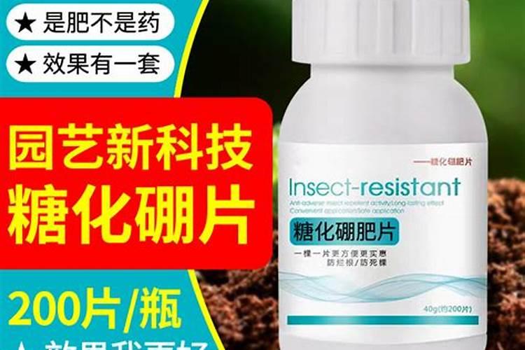 园艺糖化硼肥测评方法有哪些要求？