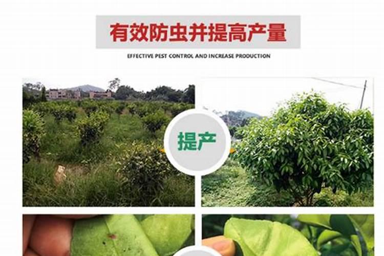 牡丹叶面肥哪种好一些？