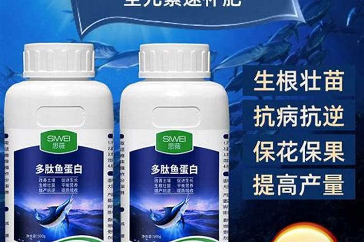 鱼蛋白甲壳素生根效果怎么样？