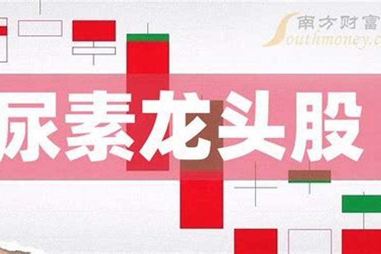 哪些是生产尿素的上市公司龙头？