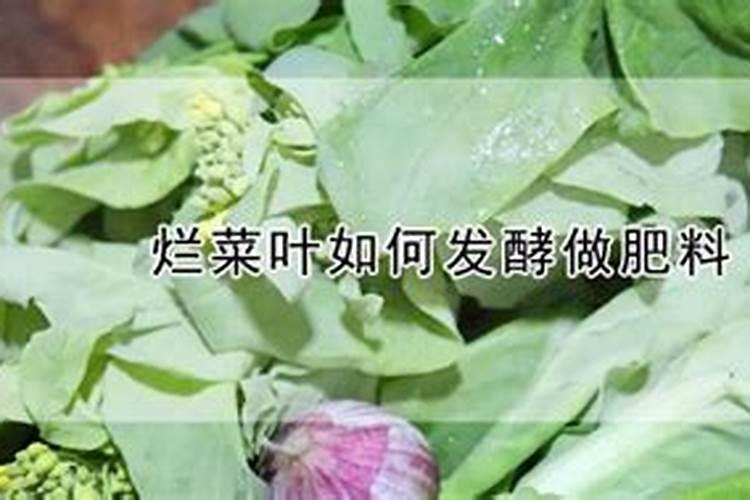 菜叶怎么发酵成肥料