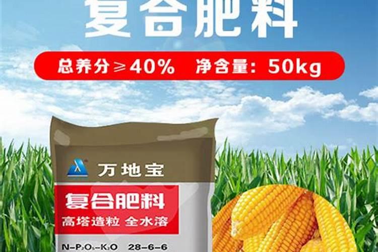 玉米水溶肥可撒施多少斤合适？