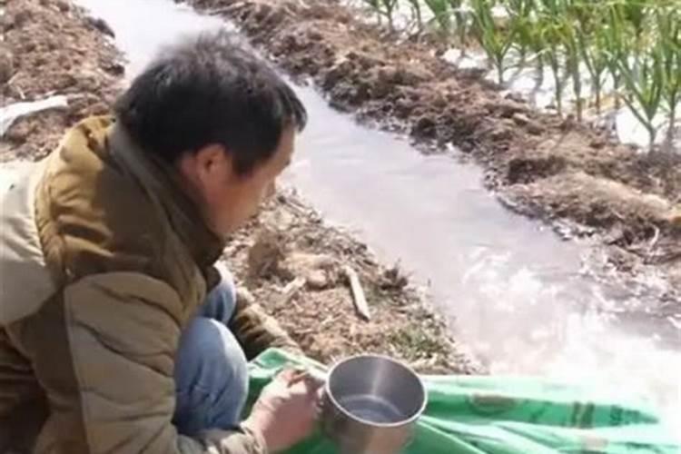 什么时候施冲施肥？施肥受天气影响吗？
