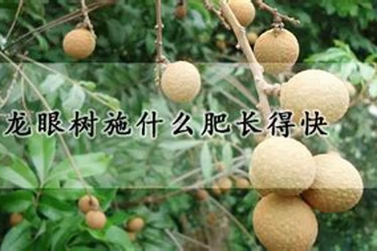 树上什么化肥长得快？