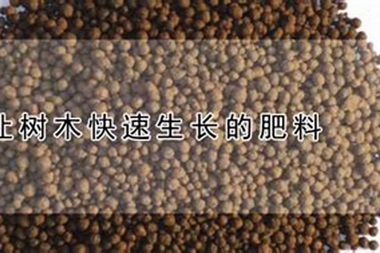 让树木快速生长的肥料