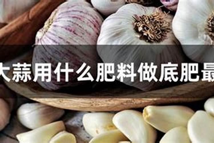 熟芝麻用做种蒜当底肥有用吗