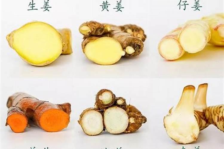 姜有哪些品种