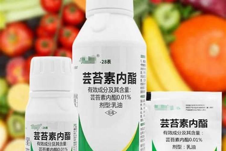 芸苔素能和烯效唑一起用吗怎么用？