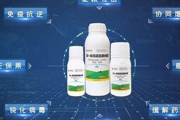 芸苔素产品很多,那些在果树上用好