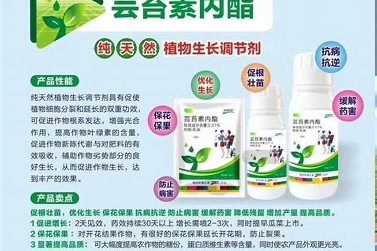 芸苔素的作用和使用方法 芸苔素如何分辨真假