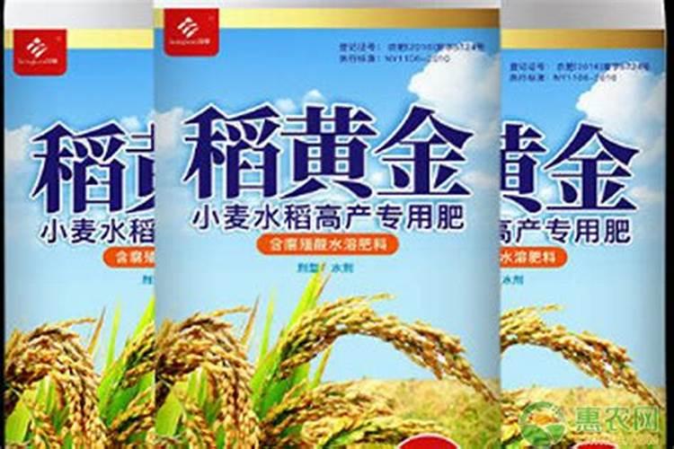 稻黄金叶面肥什么时候用
