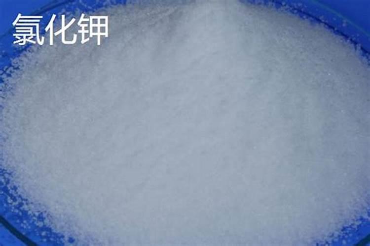 果树用硫酸钾与氯化钾哪个好