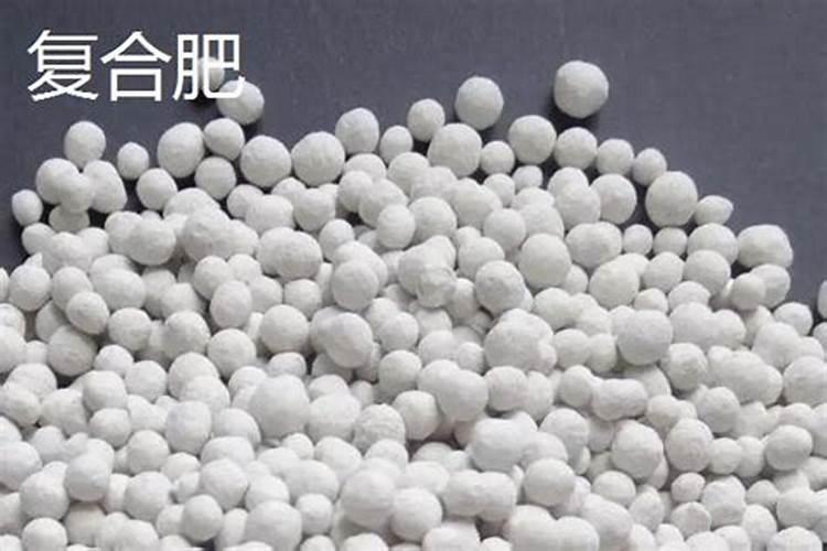 钾肥跟盐有什么区别呢？
