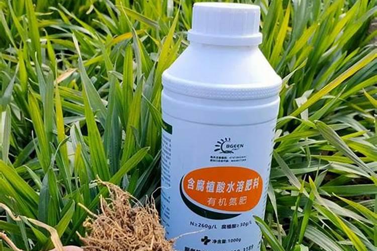 怎么快速施加氮肥的方法呢？