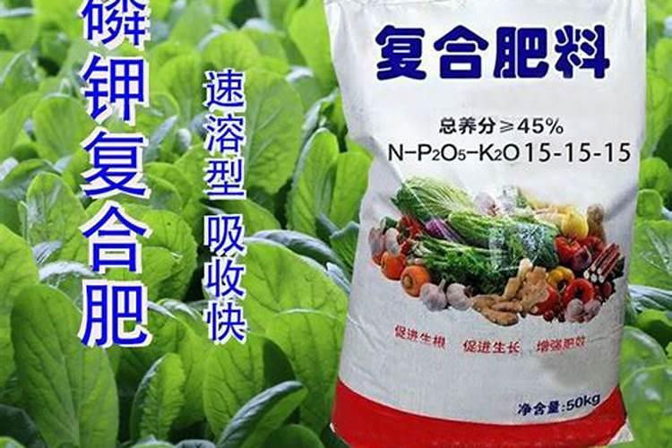 哪些蔬菜需施用钾肥肥料和磷肥？