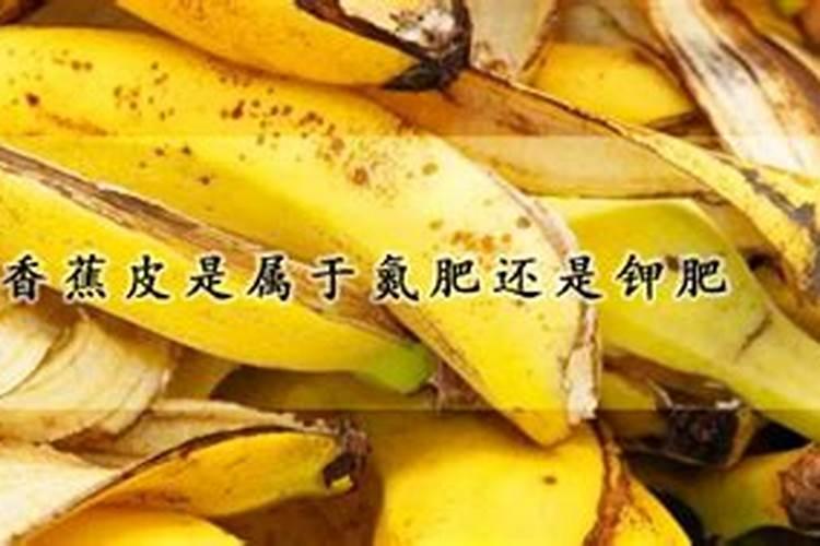 菠萝皮发酵的是氮肥吗还是氮肥？