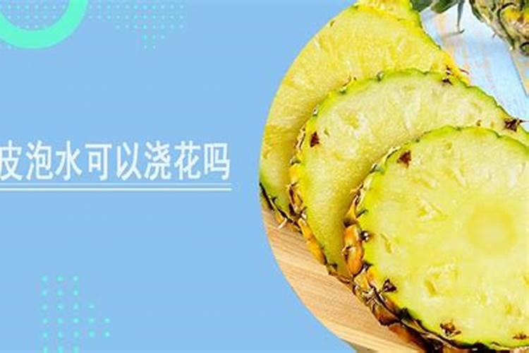 菠萝皮沤的肥料不知道还能不能用