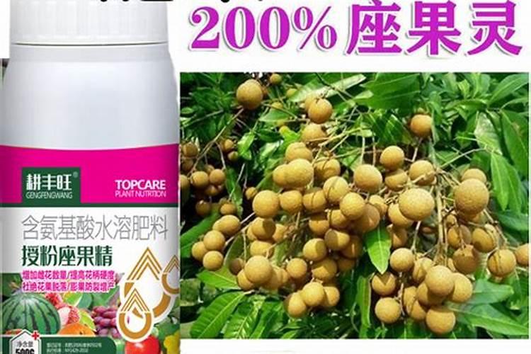 温度低五六度西红座果灵搭配芸苔素内脂受花有用吗