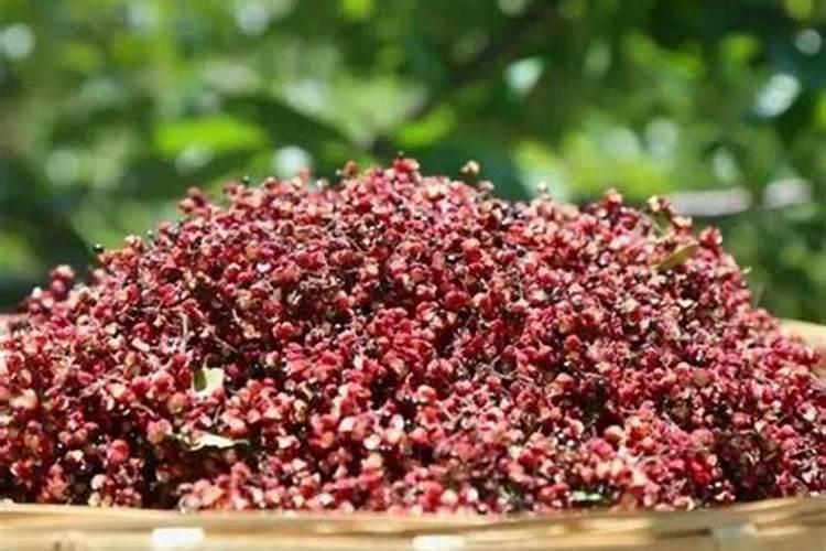 花椒什么时候喷钾肥好一点？