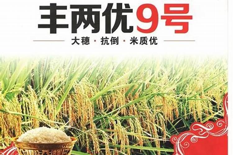 C两优9号栽培要点