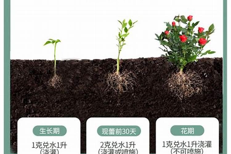 盆栽花怎样用钾肥(钾肥浇花)